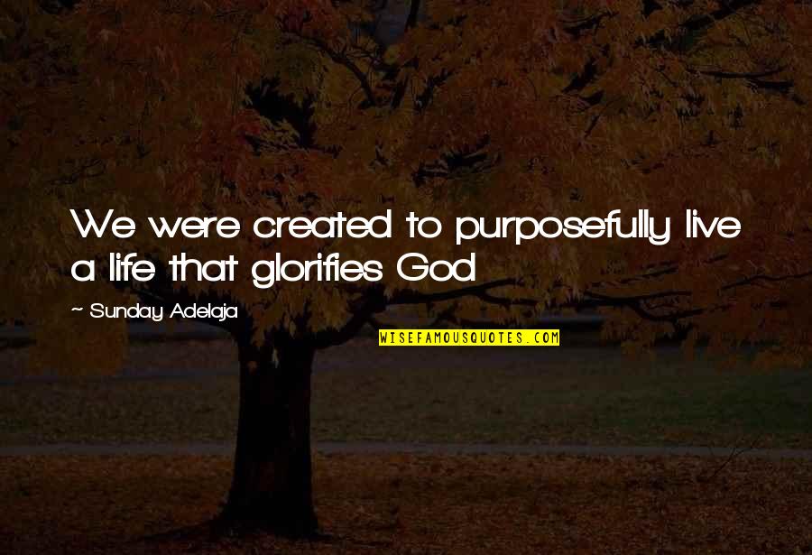 Glorification Quotes By Sunday Adelaja: We were created to purposefully live a life