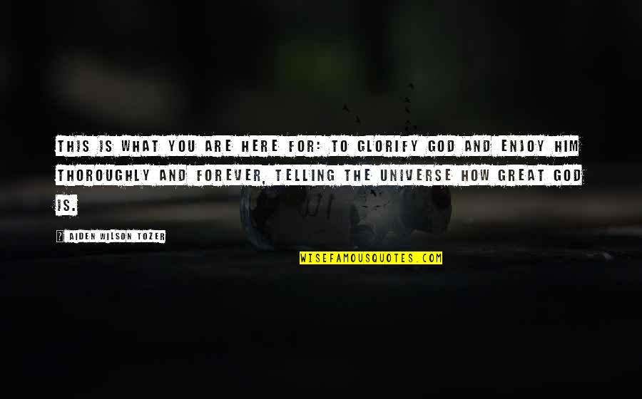 Glorify God And Enjoy Him Forever Quotes By Aiden Wilson Tozer: This is what you are here for: to