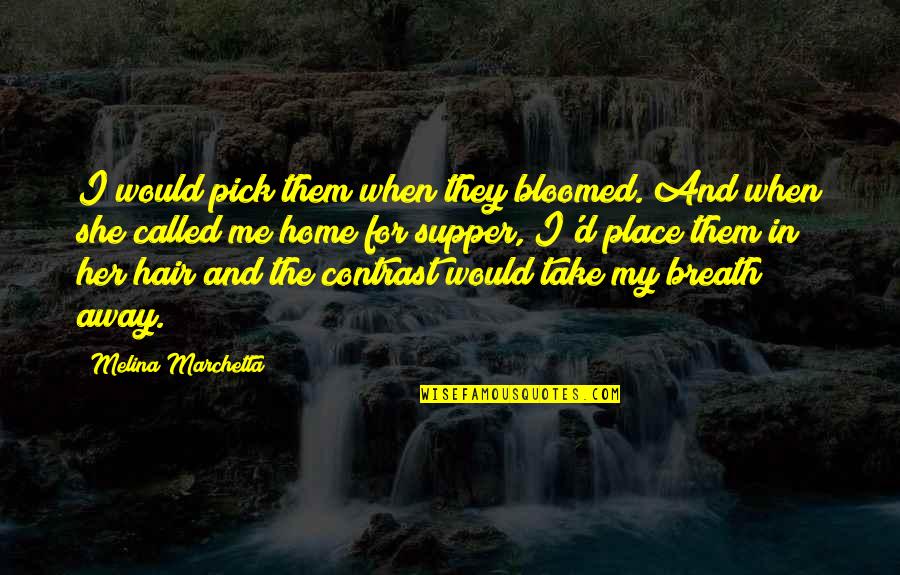 Glorious Future Quotes By Melina Marchetta: I would pick them when they bloomed. And