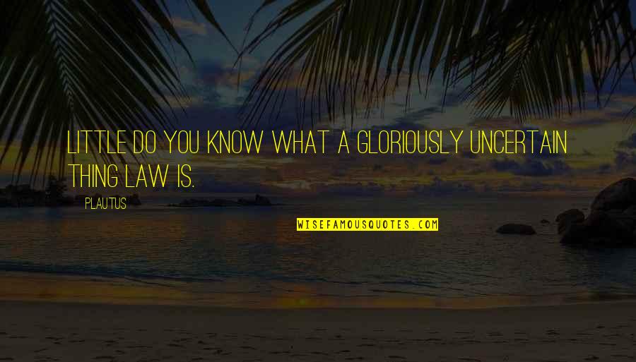 Gloriously Quotes By Plautus: Little do you know what a gloriously uncertain