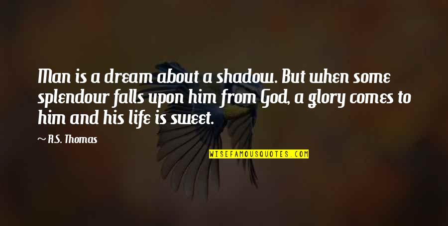 Glory's Quotes By R.S. Thomas: Man is a dream about a shadow. But