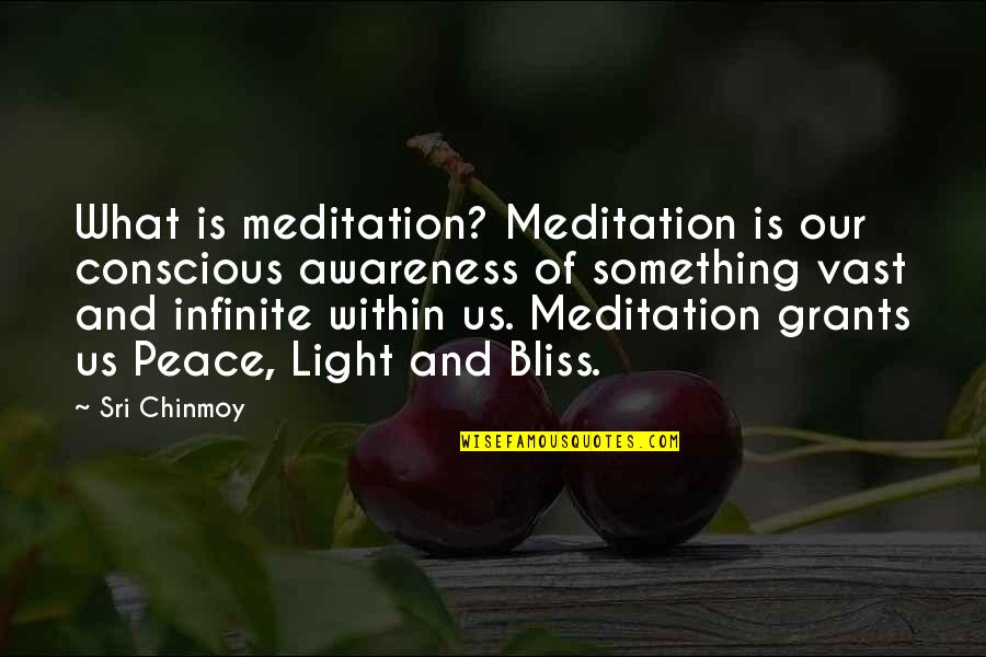 Glossner And Mcelwee Quotes By Sri Chinmoy: What is meditation? Meditation is our conscious awareness