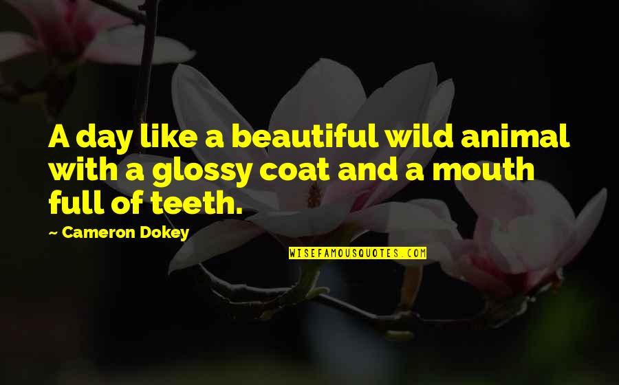 Glossy Quotes By Cameron Dokey: A day like a beautiful wild animal with