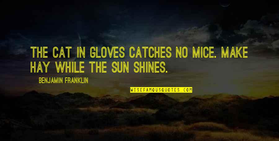 Gloves Off Quotes By Benjamin Franklin: The cat in gloves catches no mice. Make