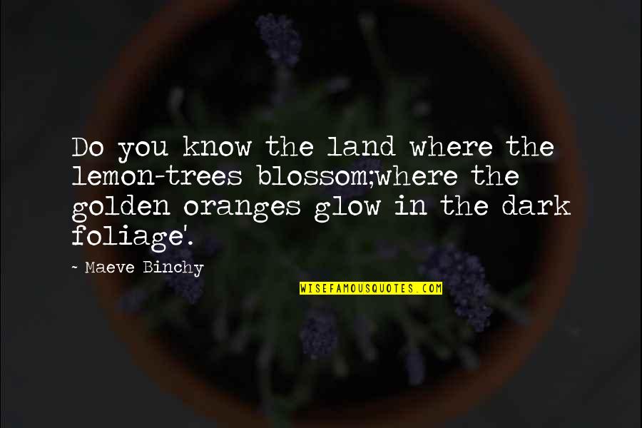 Glow In Dark Quotes By Maeve Binchy: Do you know the land where the lemon-trees