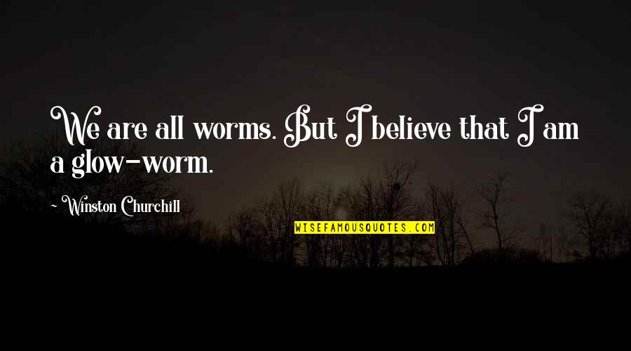 Glow Quotes By Winston Churchill: We are all worms. But I believe that