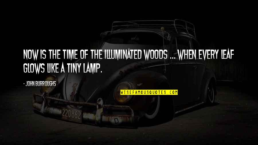 Glows Quotes By John Burroughs: Now is the time of the illuminated woods