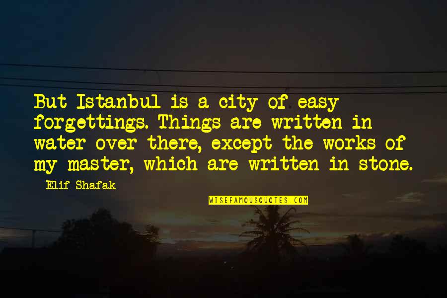 Glowsticks Quotes By Elif Shafak: But Istanbul is a city of easy forgettings.