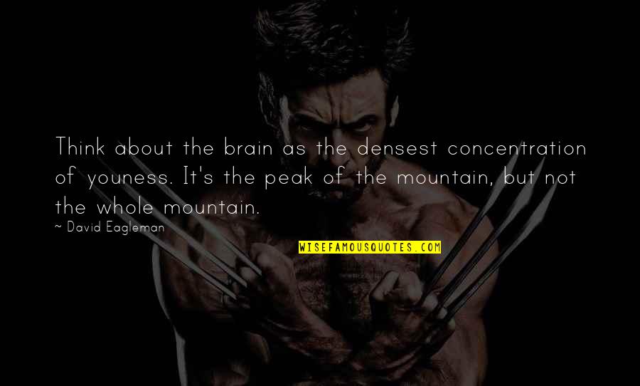 Glucocorticoids Medications Quotes By David Eagleman: Think about the brain as the densest concentration Glucocorticoids Medications Quotes By David Eagleman: Think about the brain as the densest concentration