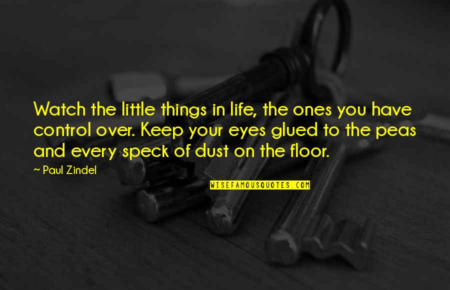 Glued To Quotes By Paul Zindel: Watch the little things in life, the ones