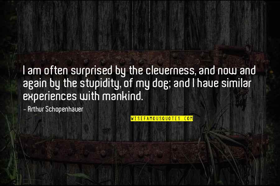 Gluvi Quotes By Arthur Schopenhauer: I am often surprised by the cleverness, and Gluvi Quotes By Arthur Schopenhauer: I am often surprised by the cleverness, and