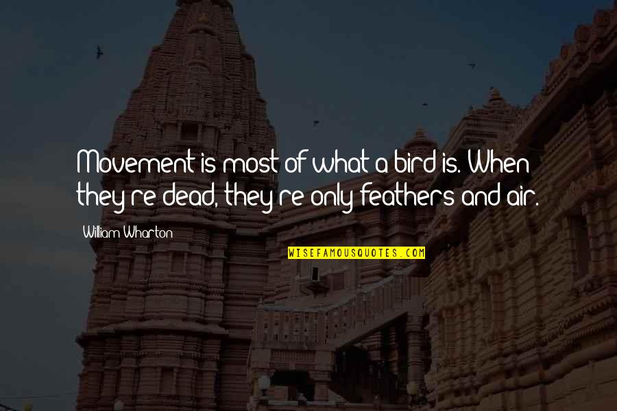 Gmeolt Quotes By William Wharton: Movement is most of what a bird is. Gmeolt Quotes By William Wharton: Movement is most of what a bird is.