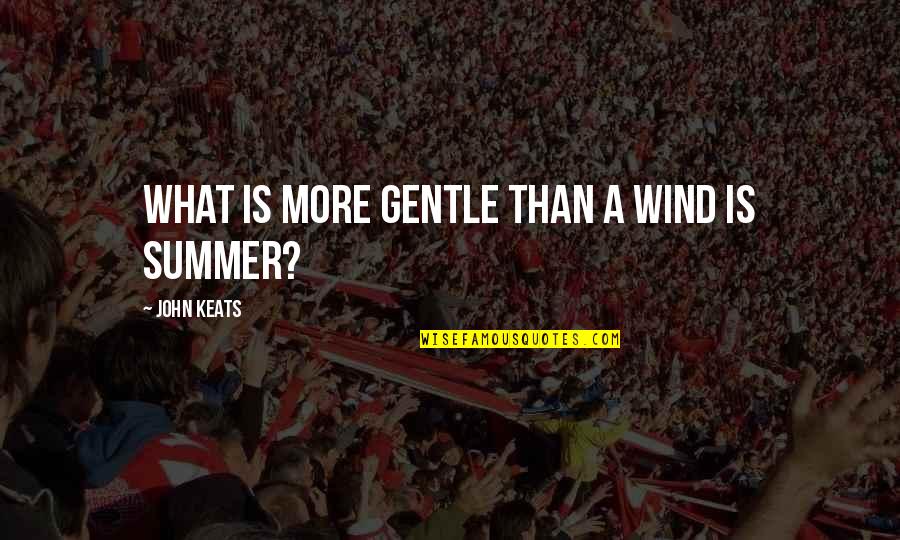 Gmp Drivercare Quotes By John Keats: What is more gentle than a wind is