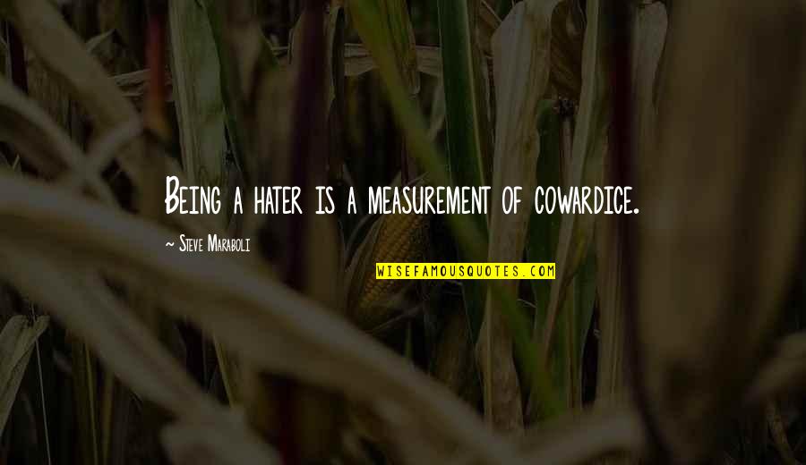 Gnahndi Quotes By Steve Maraboli: Being a hater is a measurement of cowardice.