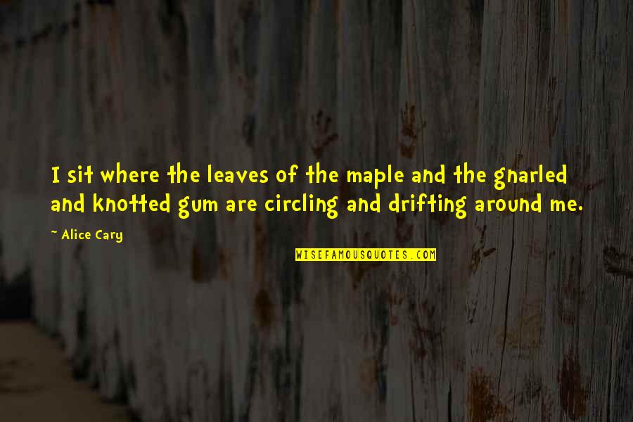 Gnarled Quotes By Alice Cary: I sit where the leaves of the maple Gnarled Quotes By Alice Cary: I sit where the leaves of the maple