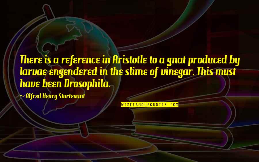 Gnat Quotes By Alfred Henry Sturtevant: There is a reference in Aristotle to a