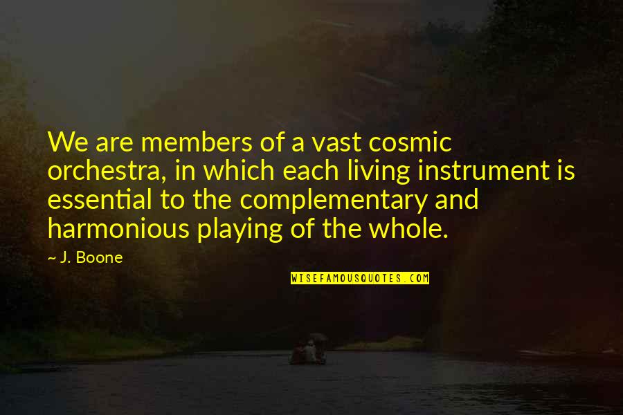 Gnat Quotes By J. Boone: We are members of a vast cosmic orchestra,