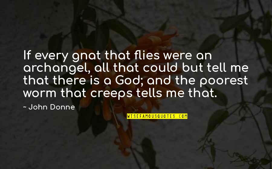 Gnat Quotes By John Donne: If every gnat that flies were an archangel,