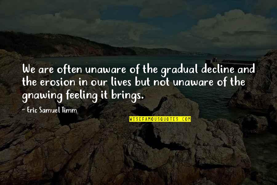 Gnawing Quotes By Eric Samuel Timm: We are often unaware of the gradual decline