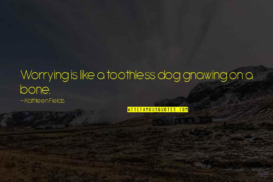 Gnawing Quotes By Kathleen Fields: Worrying is like a toothless dog gnawing on