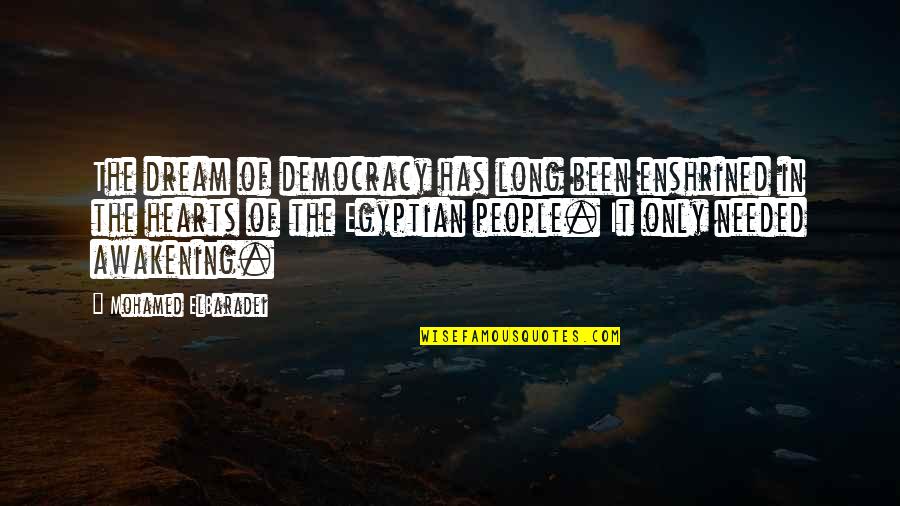 Gnawings Fossil Quotes By Mohamed ElBaradei: The dream of democracy has long been enshrined Gnawings Fossil Quotes By Mohamed ElBaradei: The dream of democracy has long been enshrined