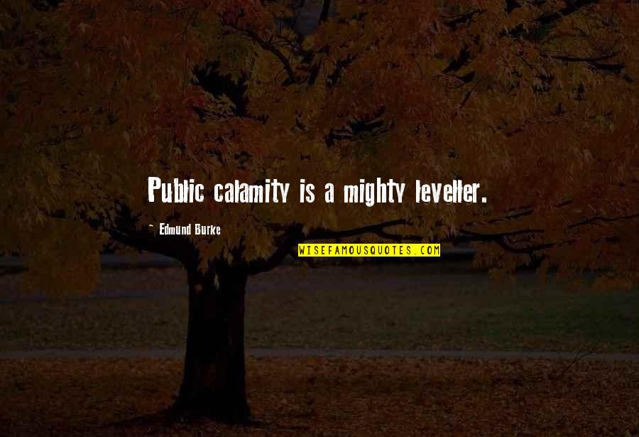 Gniewie Quotes By Edmund Burke: Public calamity is a mighty leveller.