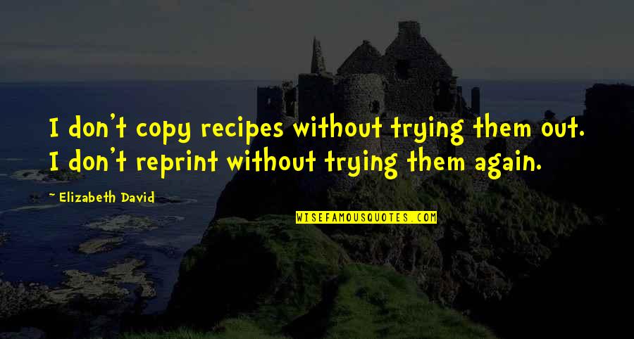 Gnlko Quotes By Elizabeth David: I don't copy recipes without trying them out. Gnlko Quotes By Elizabeth David: I don't copy recipes without trying them out.