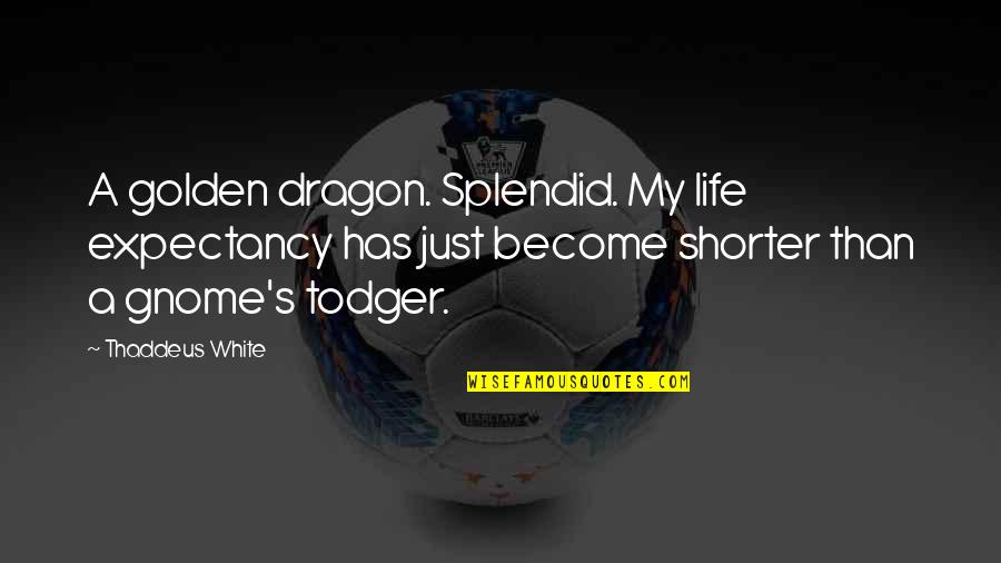 Gnome Quotes By Thaddeus White: A golden dragon. Splendid. My life expectancy has