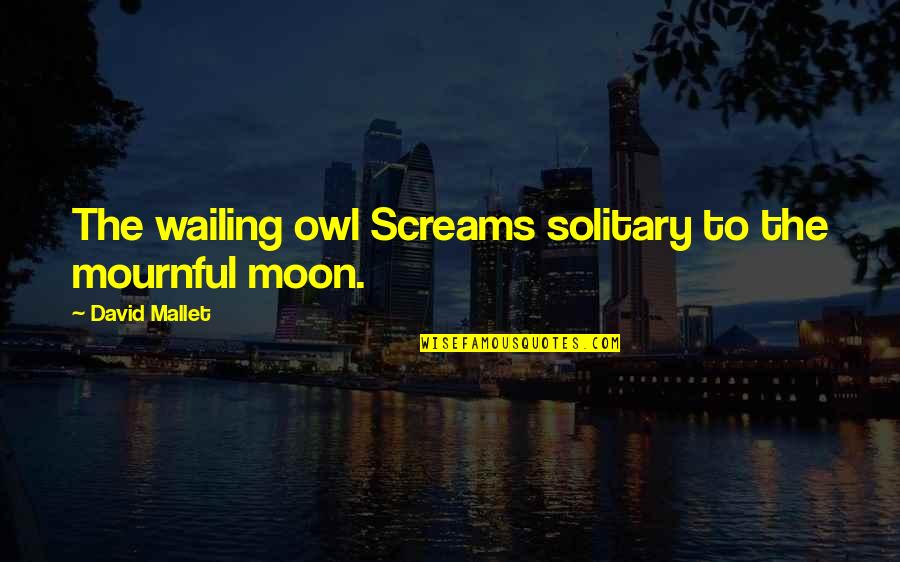 Gnostic Inspirational Quotes By David Mallet: The wailing owl Screams solitary to the mournful