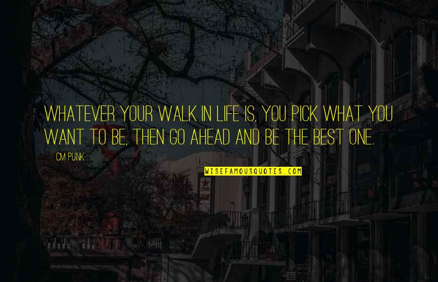 Go Ahead Life Quotes By CM Punk: Whatever your walk in life is, you pick