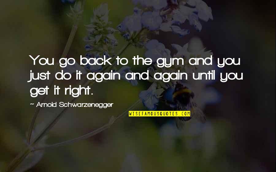 Go And Do It Quotes By Arnold Schwarzenegger: You go back to the gym and you Go And Do It Quotes By Arnold Schwarzenegger: You go back to the gym and you