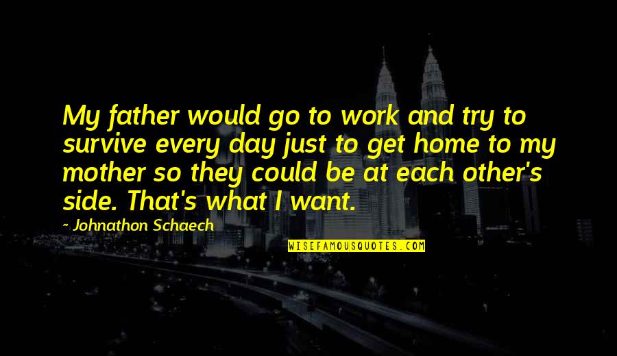 Go And Get What You Want Quotes By Johnathon Schaech: My father would go to work and try