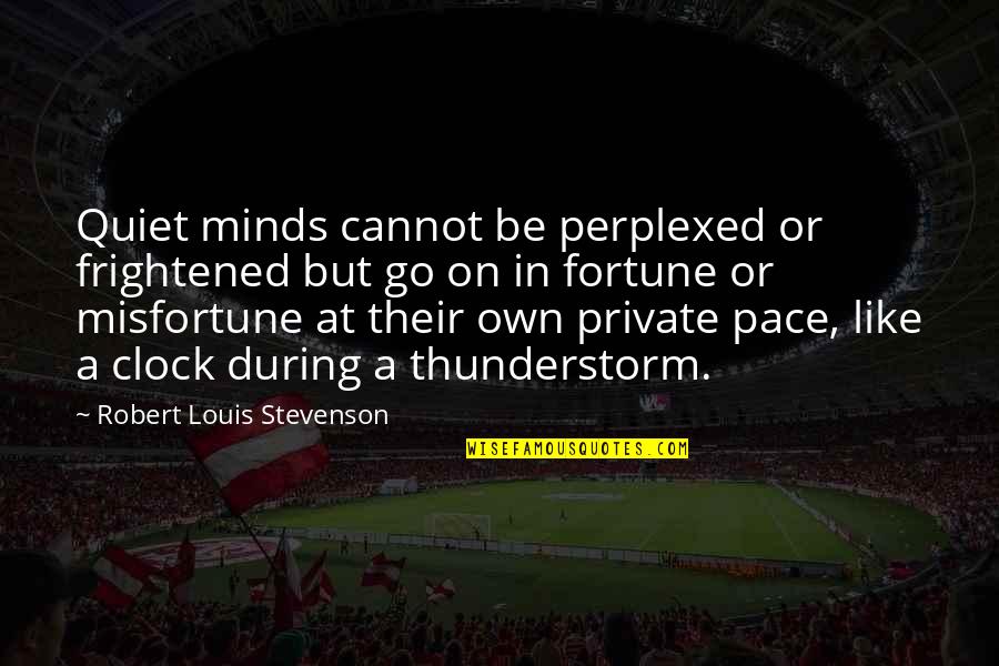 Go At Your Pace Quotes By Robert Louis Stevenson: Quiet minds cannot be perplexed or frightened but