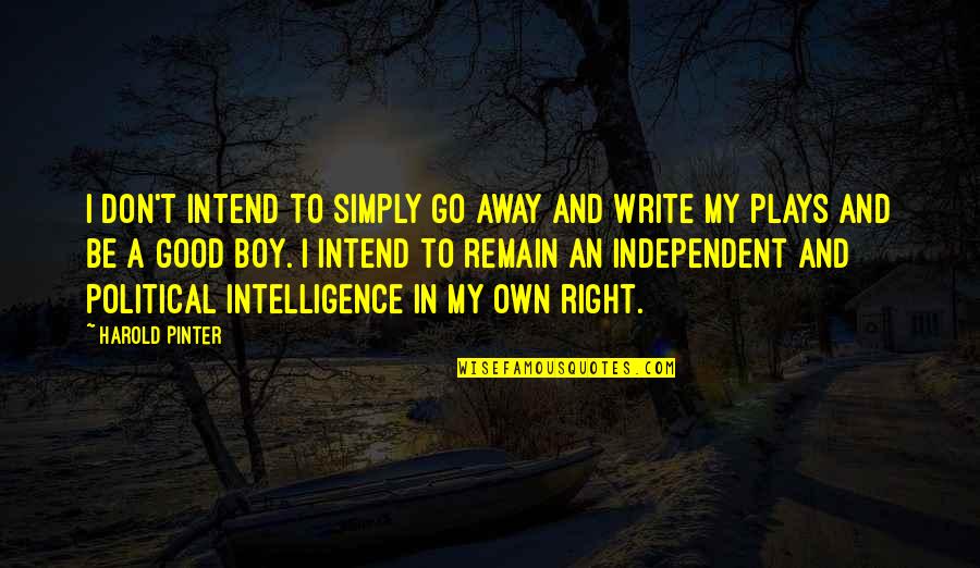 Go Away Good Quotes By Harold Pinter: I don't intend to simply go away and Go Away Good Quotes By Harold Pinter: I don't intend to simply go away and