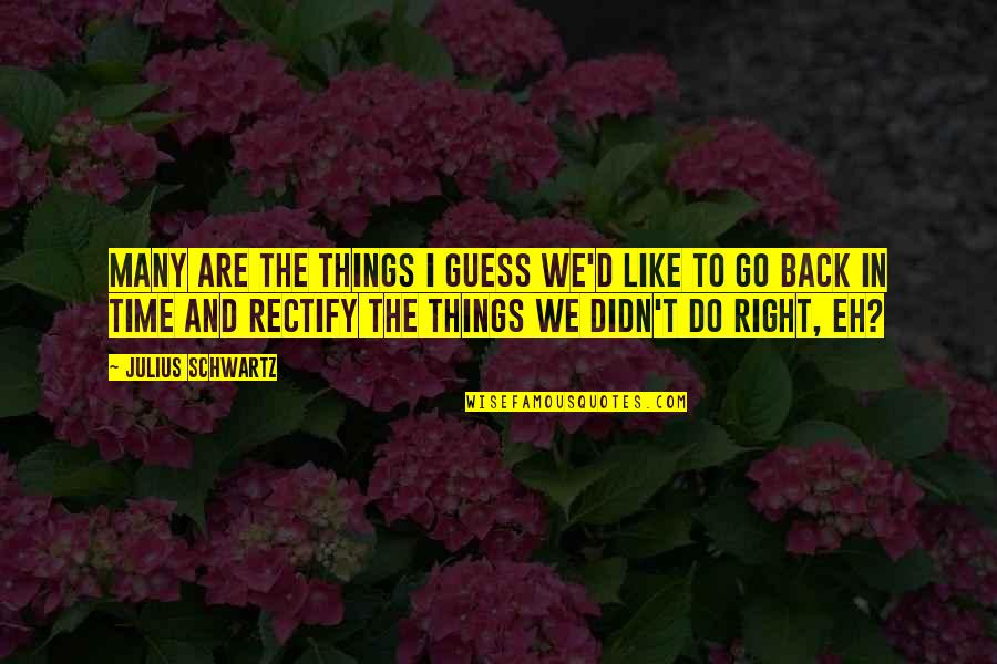 Go Back In Time Quotes By Julius Schwartz: Many are the things I guess we'd like