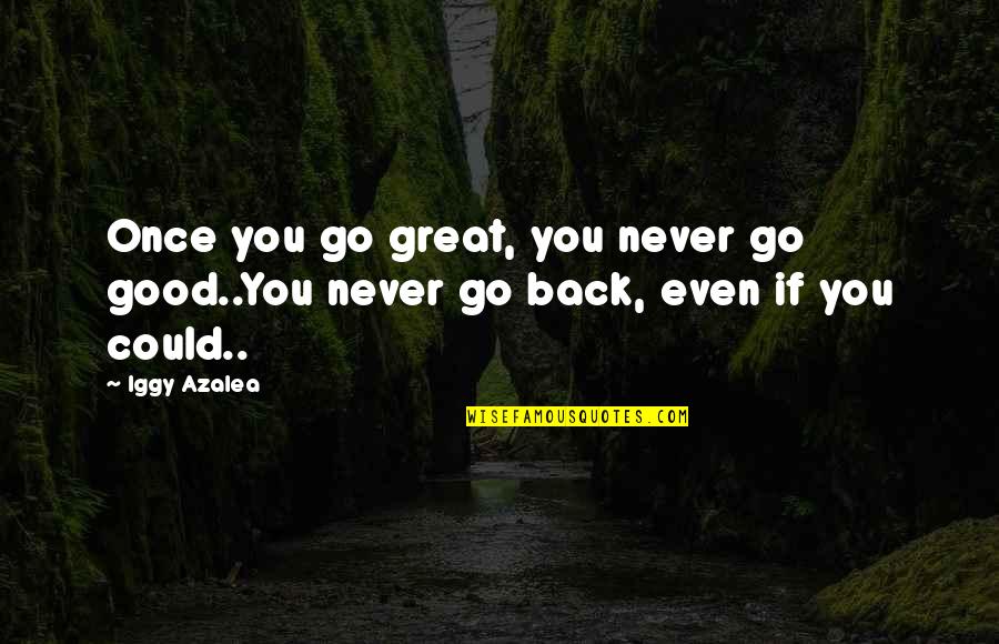 Go Back Quotes By Iggy Azalea: Once you go great, you never go good..You