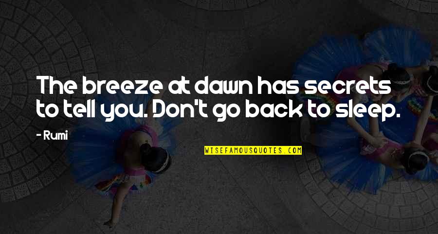 Go Back Quotes By Rumi: The breeze at dawn has secrets to tell