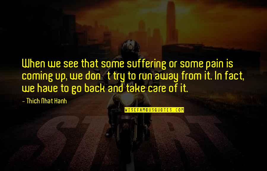 Go Back Quotes By Thich Nhat Hanh: When we see that some suffering or some