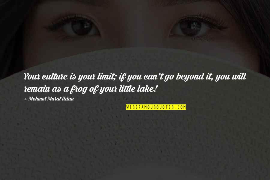 Go Beyond The Limit Quotes By Mehmet Murat Ildan: Your culture is your limit; if you can't Go Beyond The Limit Quotes By Mehmet Murat Ildan: Your culture is your limit; if you can't