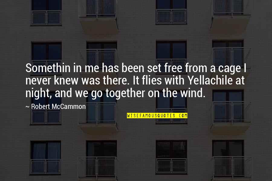 Go Blue Quotes By Robert McCammon: Somethin in me has been set free from