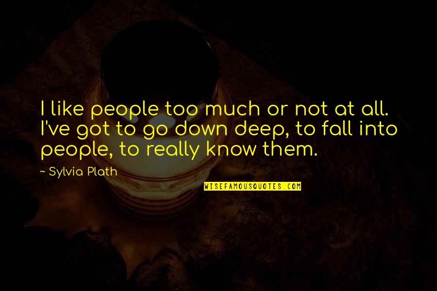 Go Deep Quotes By Sylvia Plath: I like people too much or not at