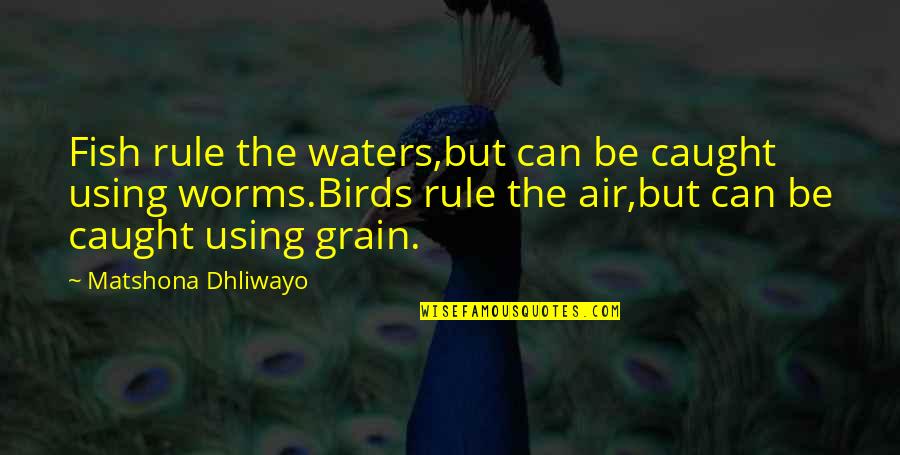 Go Fish 1994 Quotes By Matshona Dhliwayo: Fish rule the waters,but can be caught using