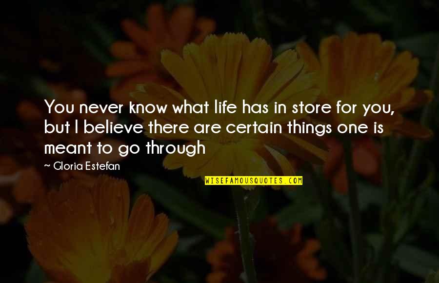 Go For What You Believe In Quotes By Gloria Estefan: You never know what life has in store
