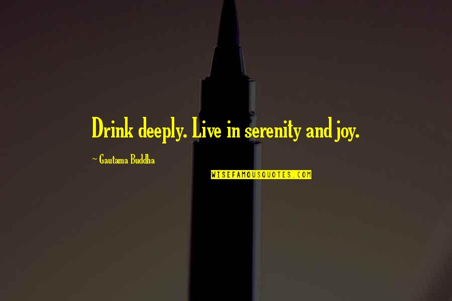 Go Forth Famous Quotes By Gautama Buddha: Drink deeply. Live in serenity and joy.