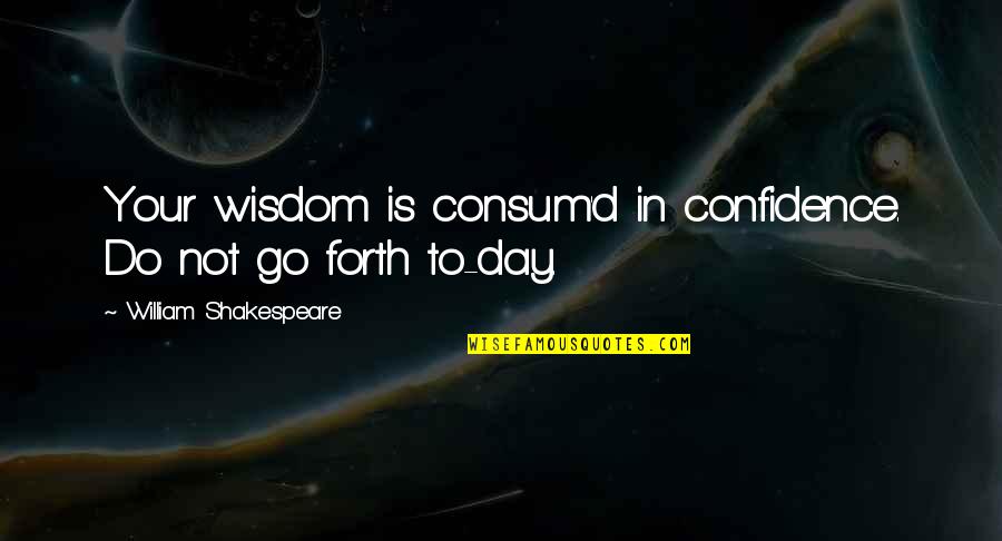 Go Forth Quotes By William Shakespeare: Your wisdom is consum'd in confidence. Do not