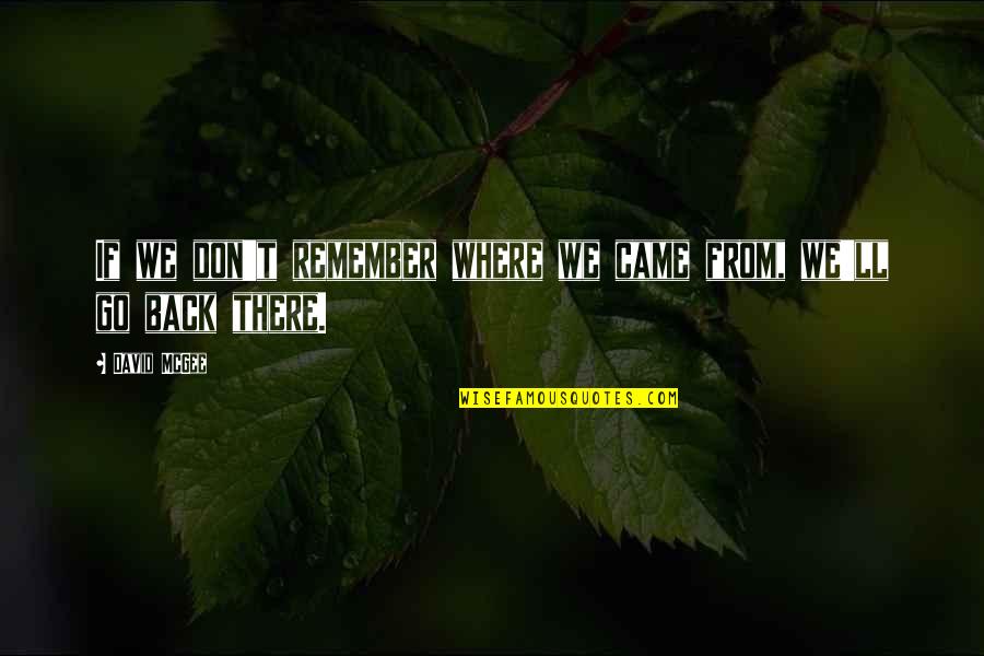 Go From Quotes By David McGee: If we don't remember where we came from,