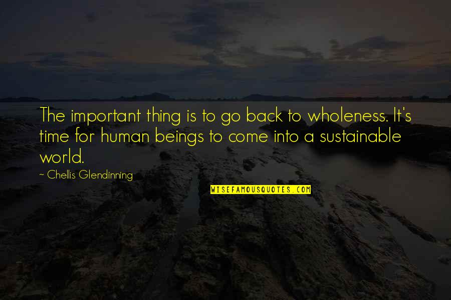 Go Into The World Quotes By Chellis Glendinning: The important thing is to go back to Go Into The World Quotes By Chellis Glendinning: The important thing is to go back to