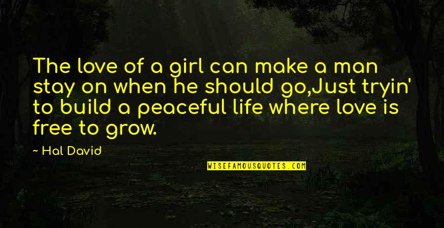Go On Girl Quotes By Hal David: The love of a girl can make a Go On Girl Quotes By Hal David: The love of a girl can make a