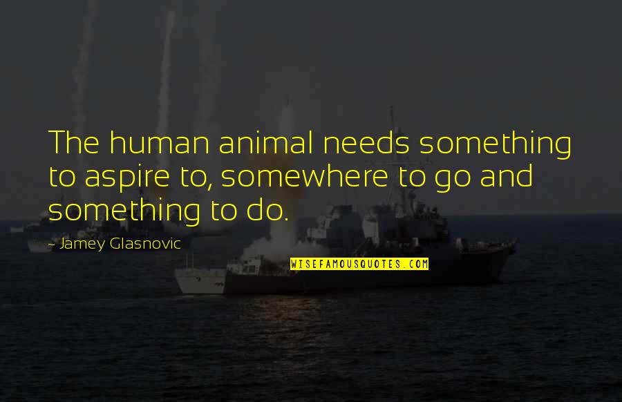 Go Out And Do Something Quotes By Jamey Glasnovic: The human animal needs something to aspire to,