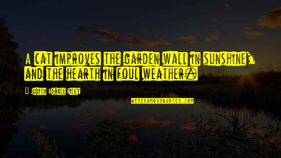 Go See Cal Quotes By Judith Merkle Riley: A cat improves the garden wall in sunshine,